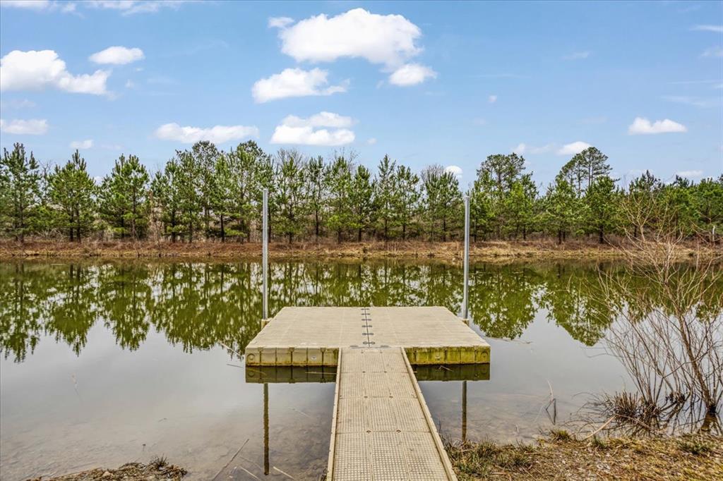 83 Hickory Creek Trail Property Photo 11