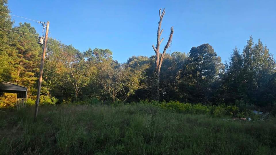 746 St Marks Lp