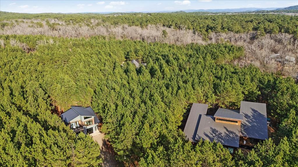 195 Plane Tree Trail Property Photo 33