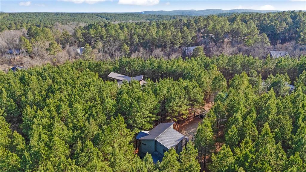 195 Plane Tree Trail Property Photo 35