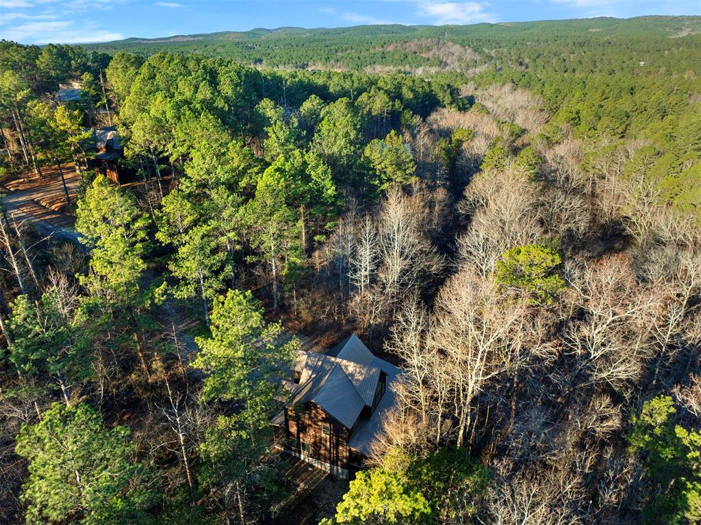 46 Yellow Wood Trail Property Photo 3