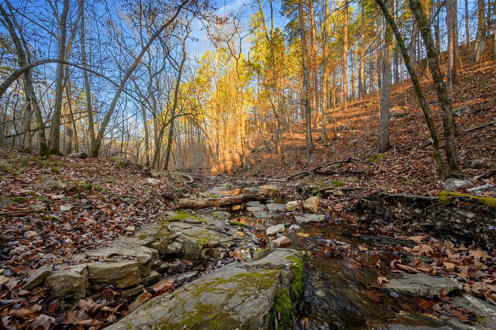 46 Yellow Wood Trail Property Photo 10