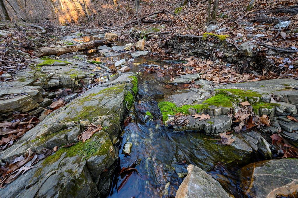 46 Yellow Wood Trail Property Photo 11