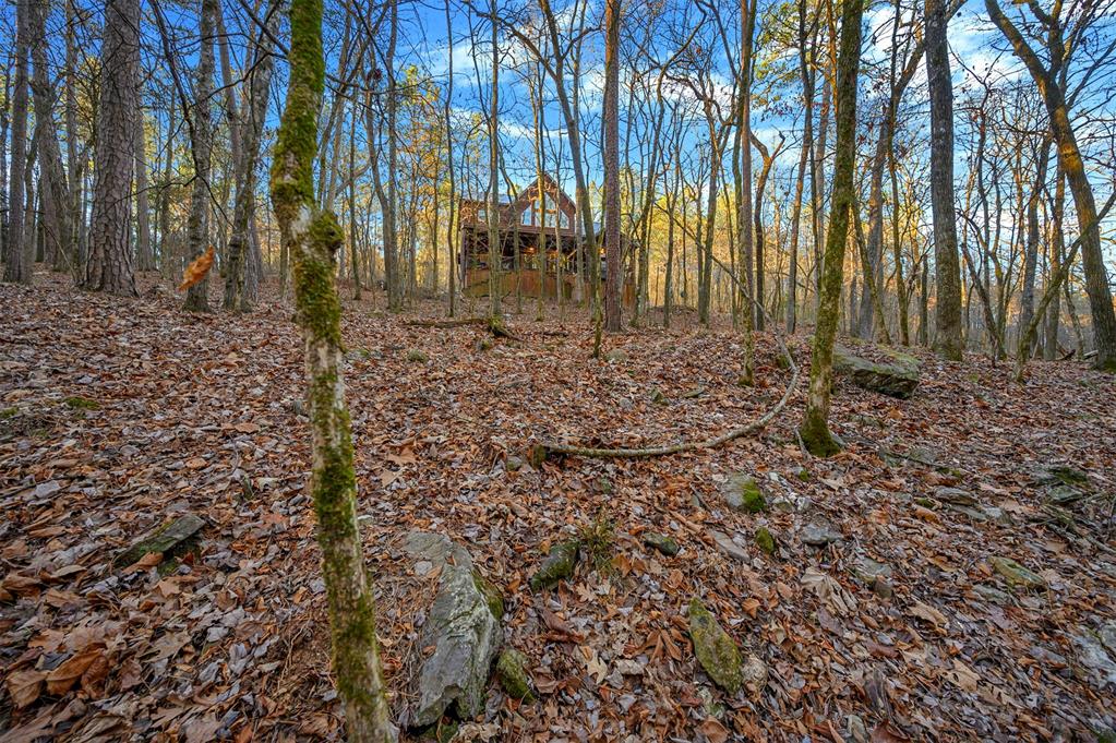46 Yellow Wood Trail Property Photo 12