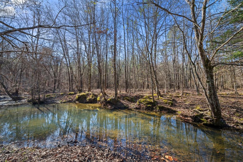 315 Marked Pine Lane Property Photo 1