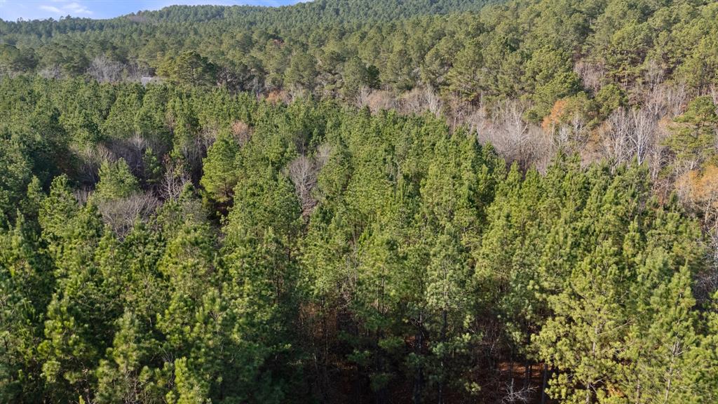 315 Marked Pine Lane Property Photo 9