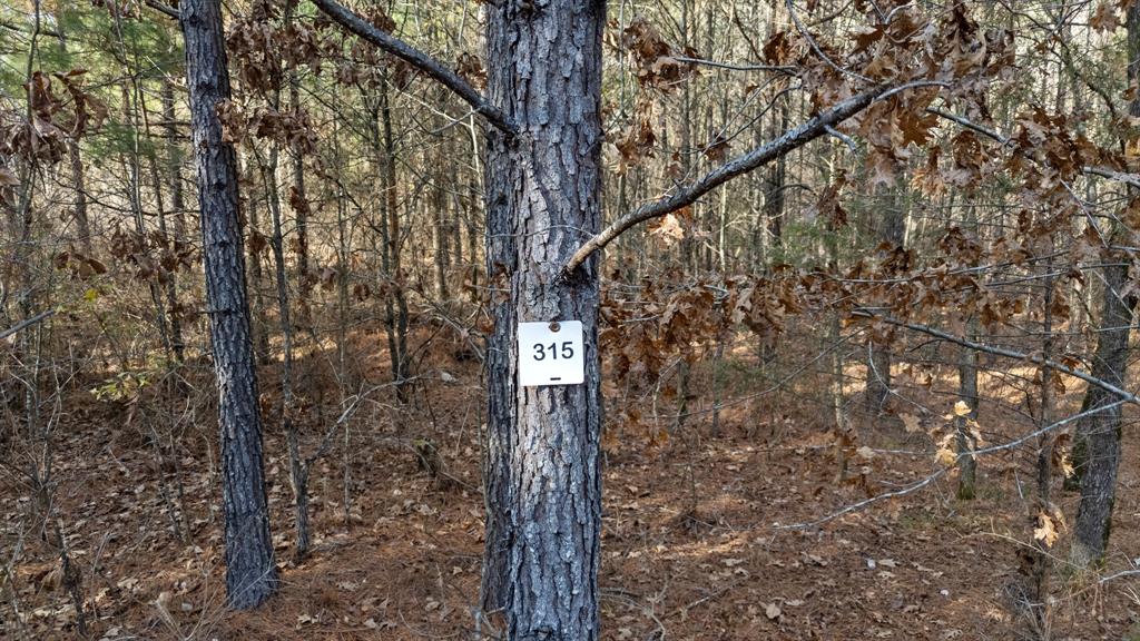 315 Marked Pine Lane Property Photo 14
