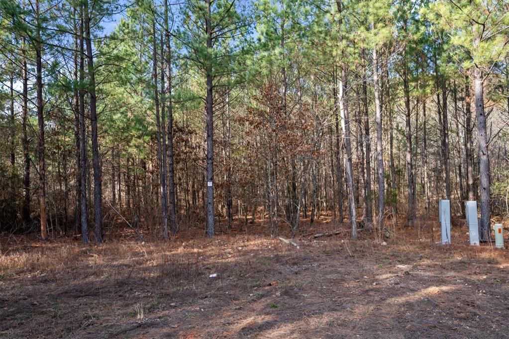 315 Marked Pine Lane Property Photo 16