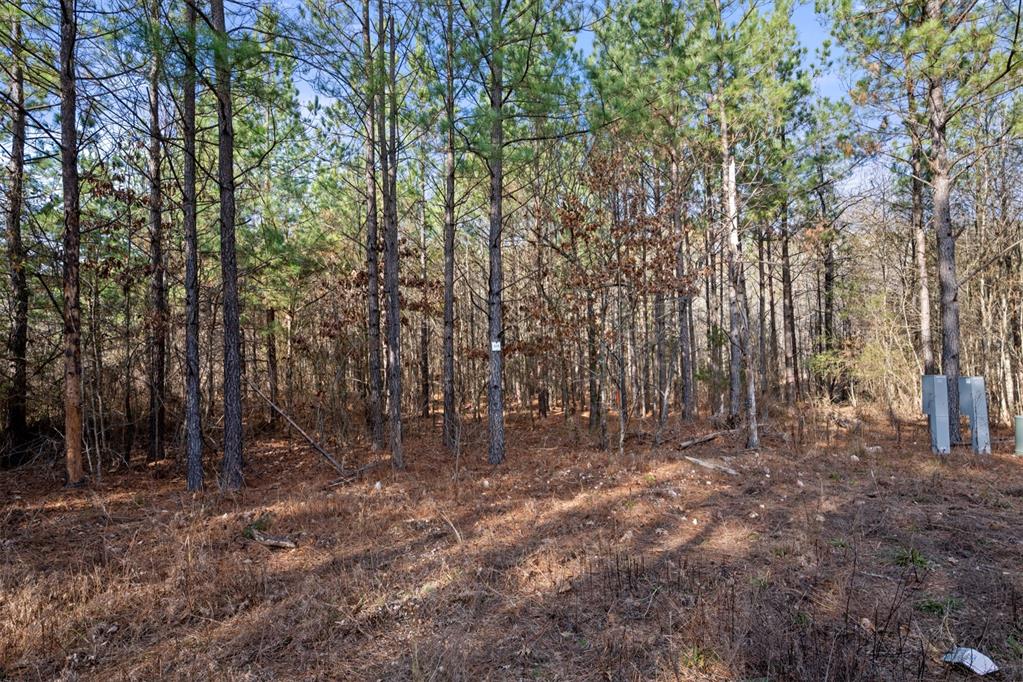 315 Marked Pine Lane Property Photo 17