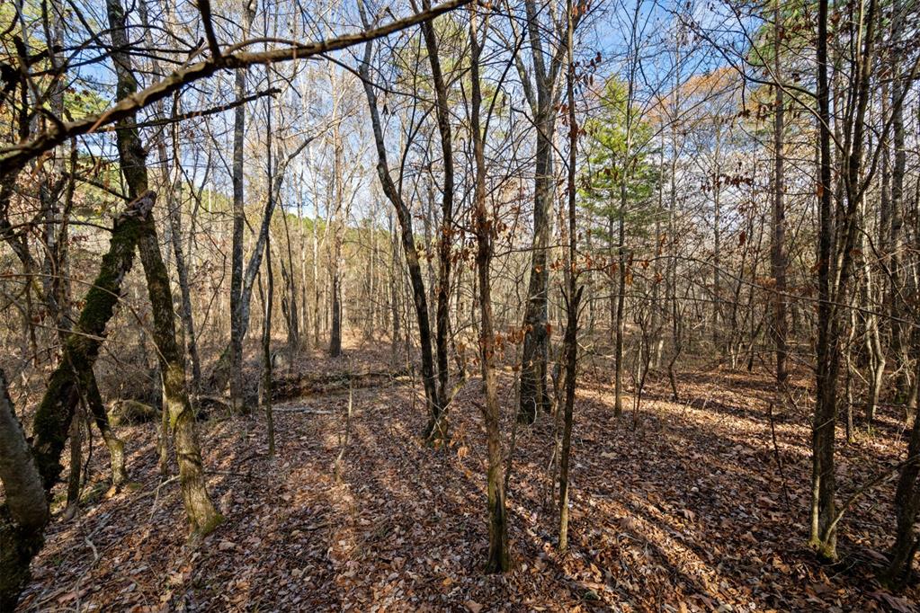 315 Marked Pine Lane Property Photo 20