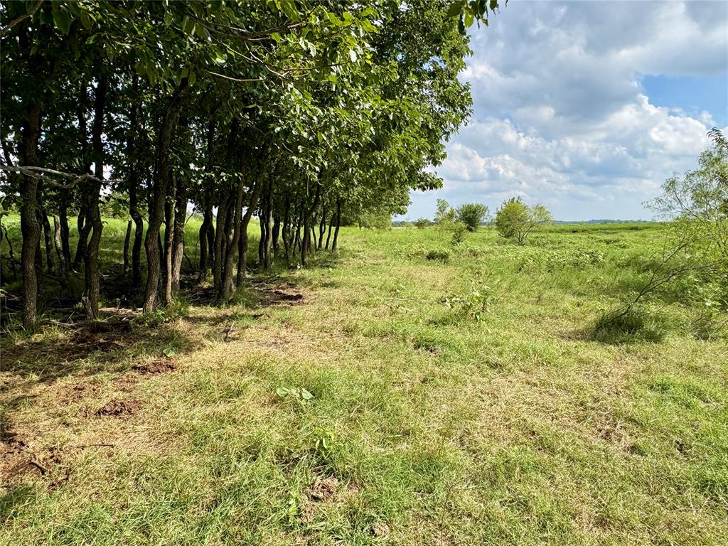 Loves Valley Road Property Photo 8