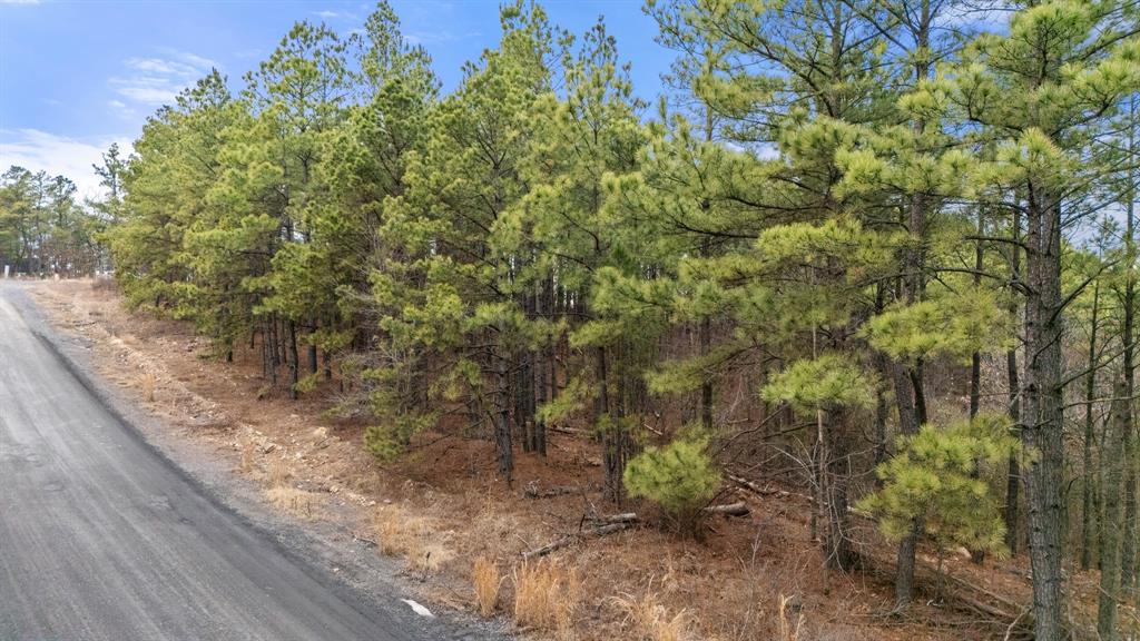 905 Timberline Trail Property Photo 1