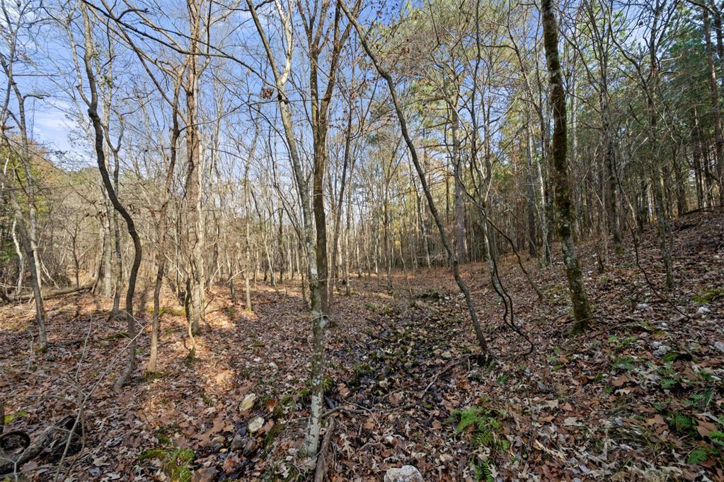 317 Marked Pine Lane Property Photo 1