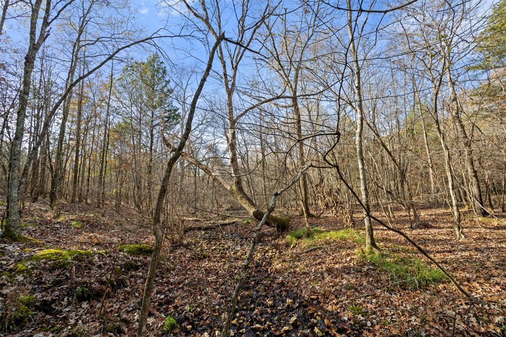 317 Marked Pine Lane Property Photo 2