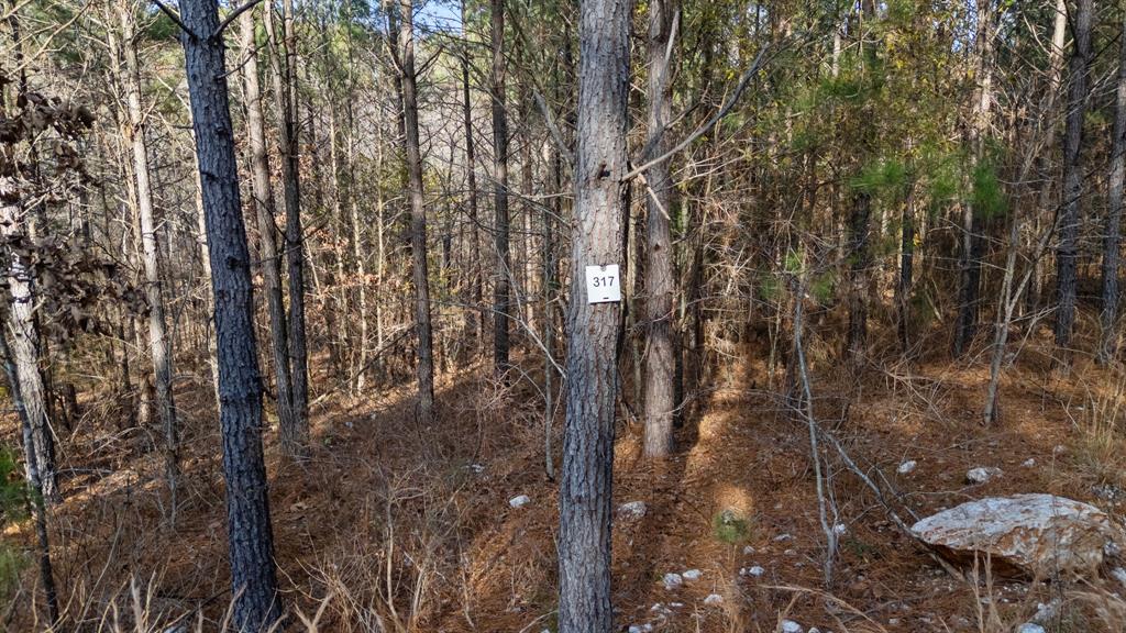 317 Marked Pine Lane Property Photo 4