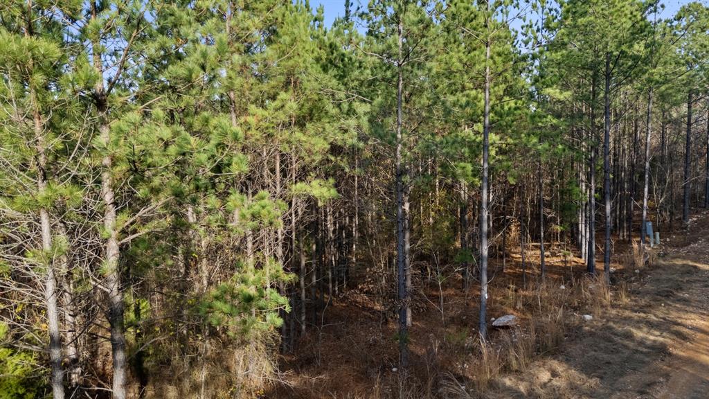 317 Marked Pine Lane Property Photo 5