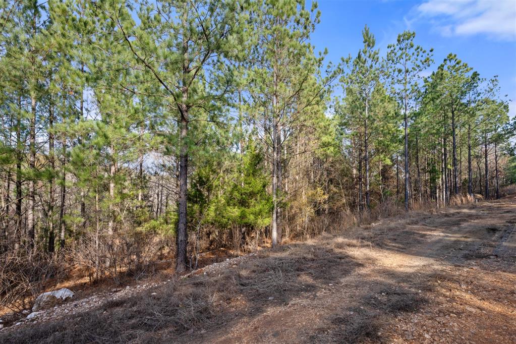 317 Marked Pine Lane Property Photo 11