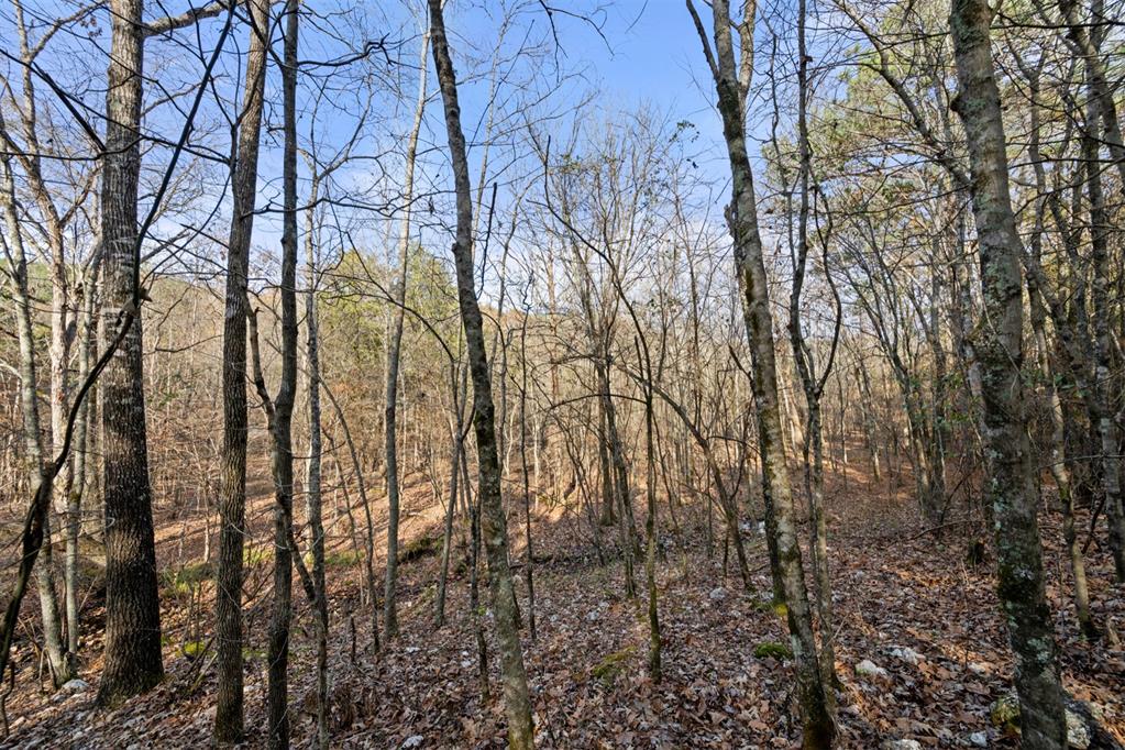 317 Marked Pine Lane Property Photo 16