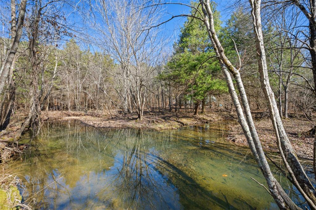 316 Marked Pine Lane Property Photo 1