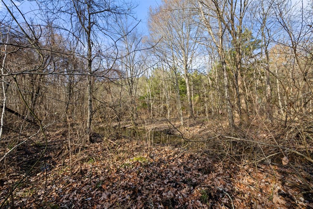 316 Marked Pine Lane Property Photo 5