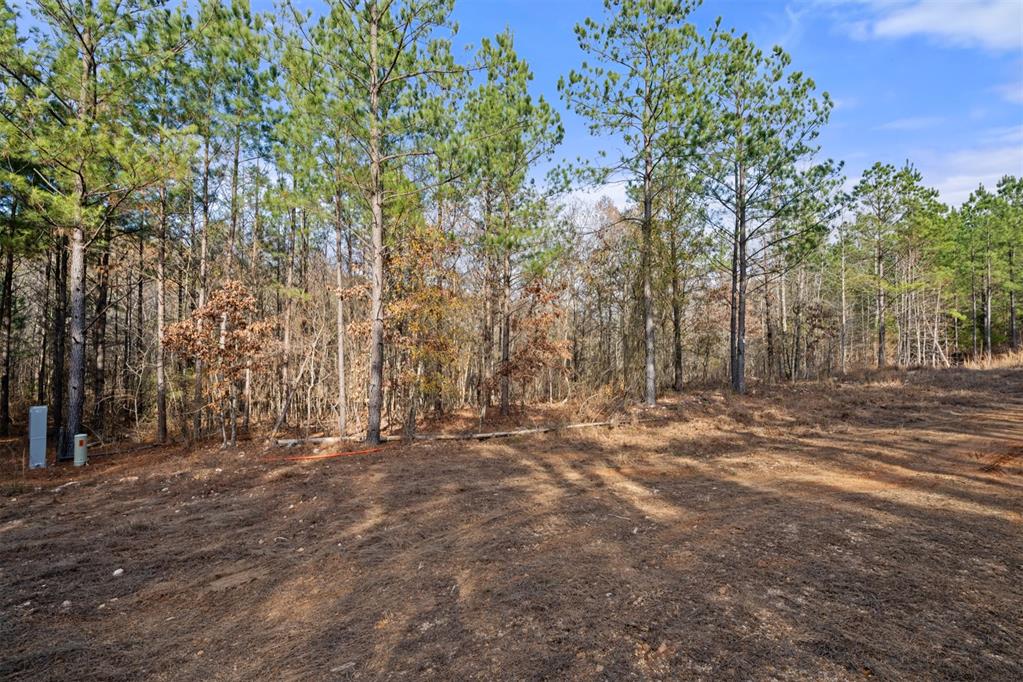 316 Marked Pine Lane Property Photo 6