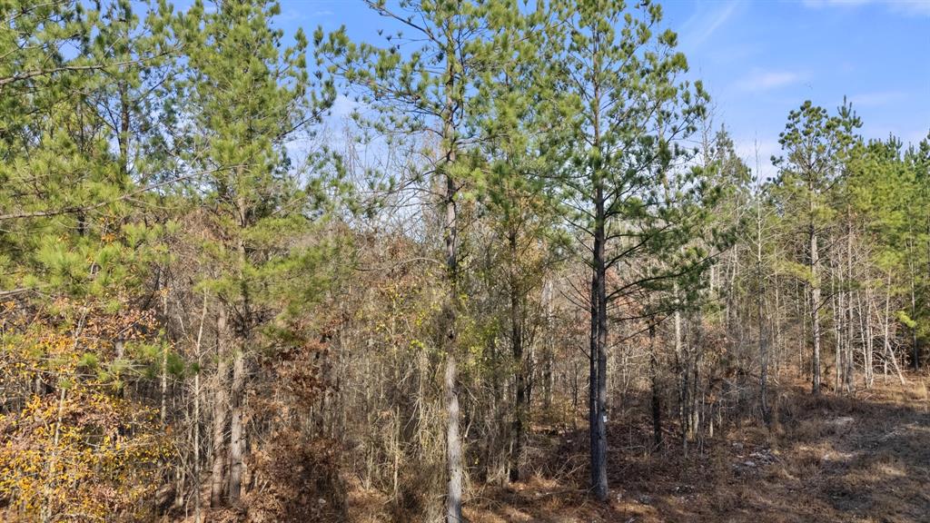 316 Marked Pine Lane Property Photo 8