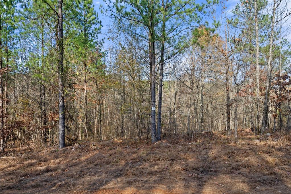 316 Marked Pine Lane Property Photo 13