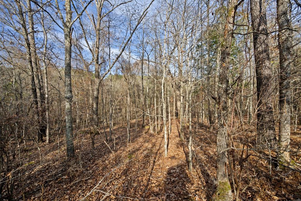 316 Marked Pine Lane Property Photo 15