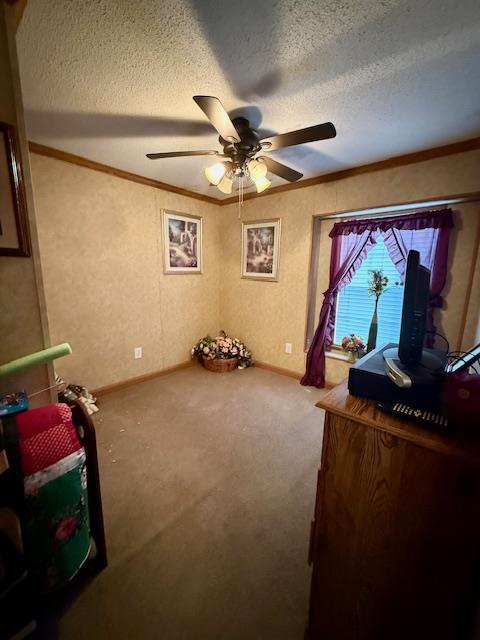 207 N Walnut Street Property Photo 7