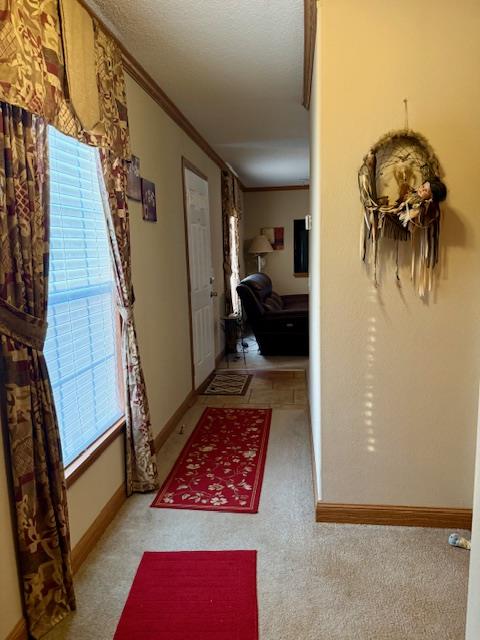 207 N Walnut Street Property Photo 10