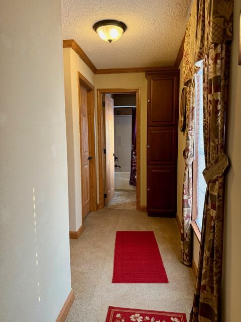 207 N Walnut Street Property Photo 11