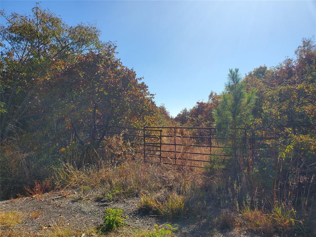 11524 Se 134th (tract 8a) Street Property Photo 3