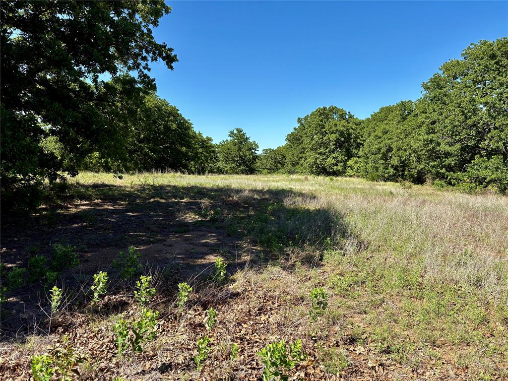 N Tract 1: 3320 Road Property Photo 3