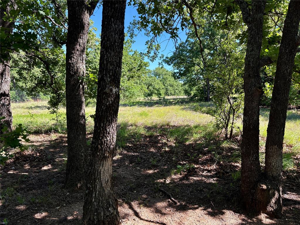 N Tract 1: 3320 Road Property Photo 4