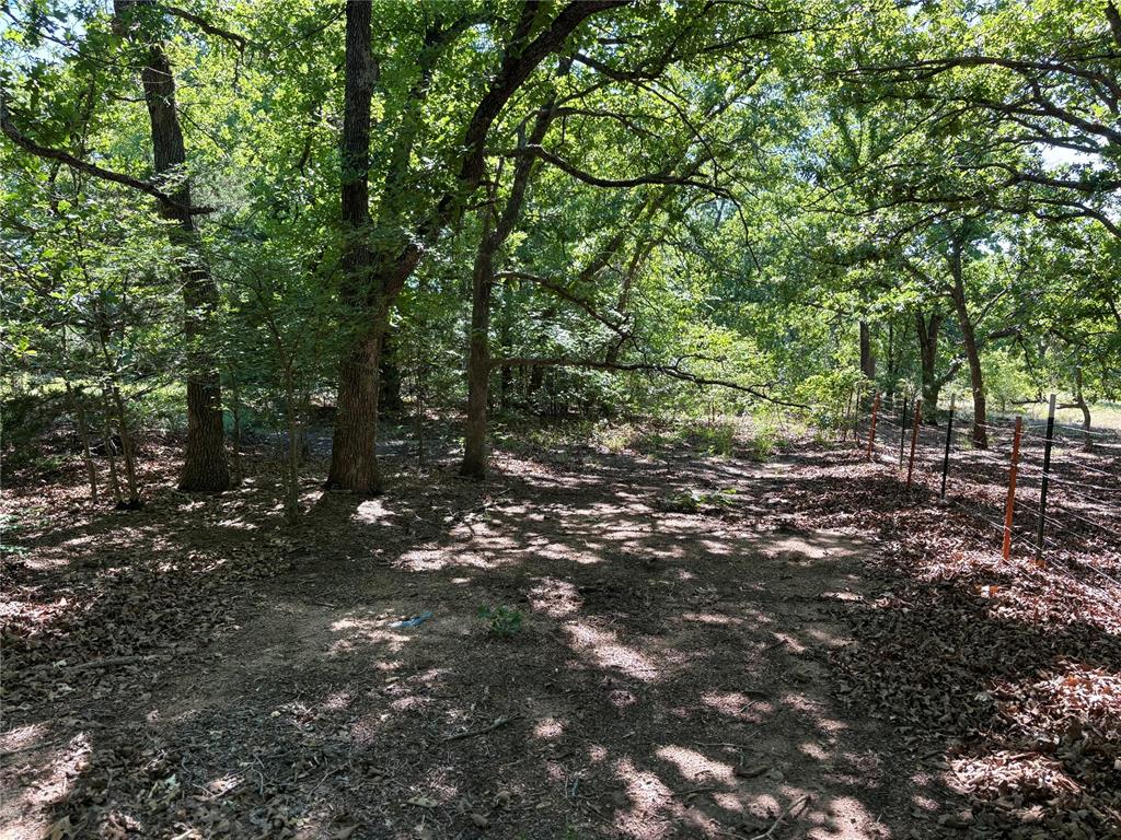 N Tract 1: 3320 Road Property Photo 6