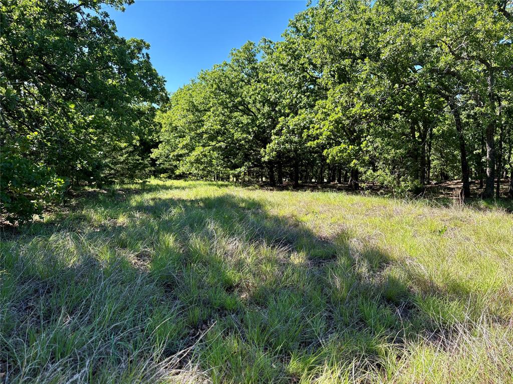 N Tract 1: 3320 Road Property Photo 9
