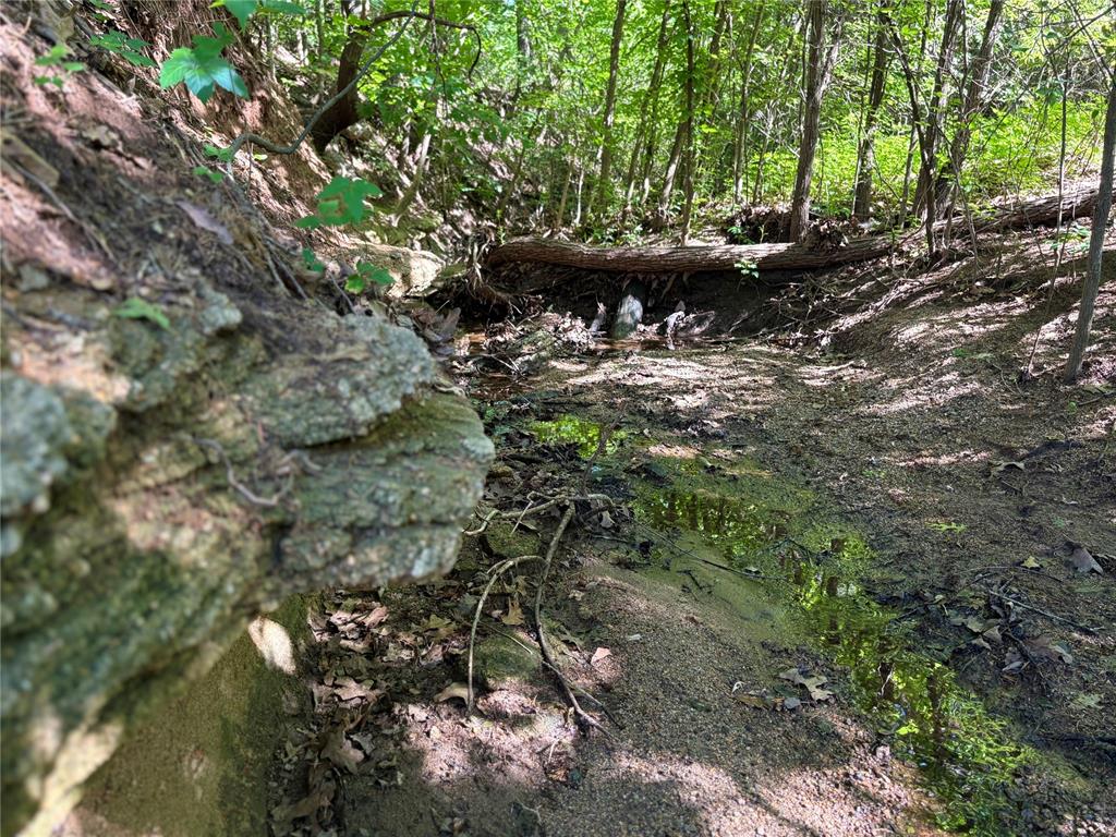 N Tract 2: 3320 Road Property Photo 3