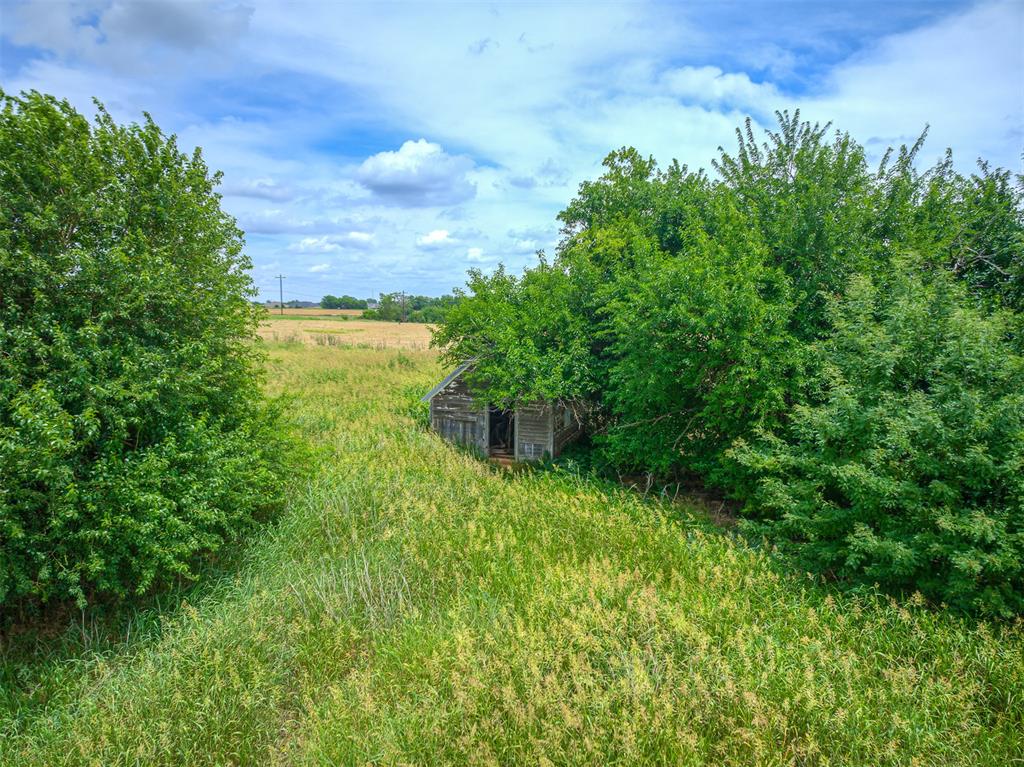 9551 Dogwood Circle (lot 14) Property Photo 22