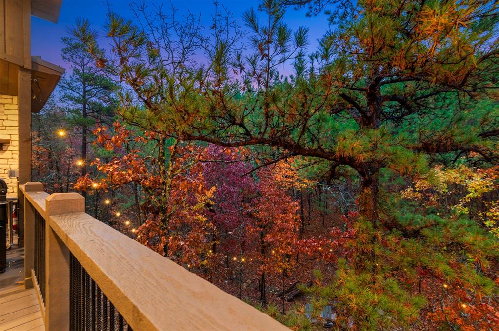836 Timberline Trail Property Photo 38