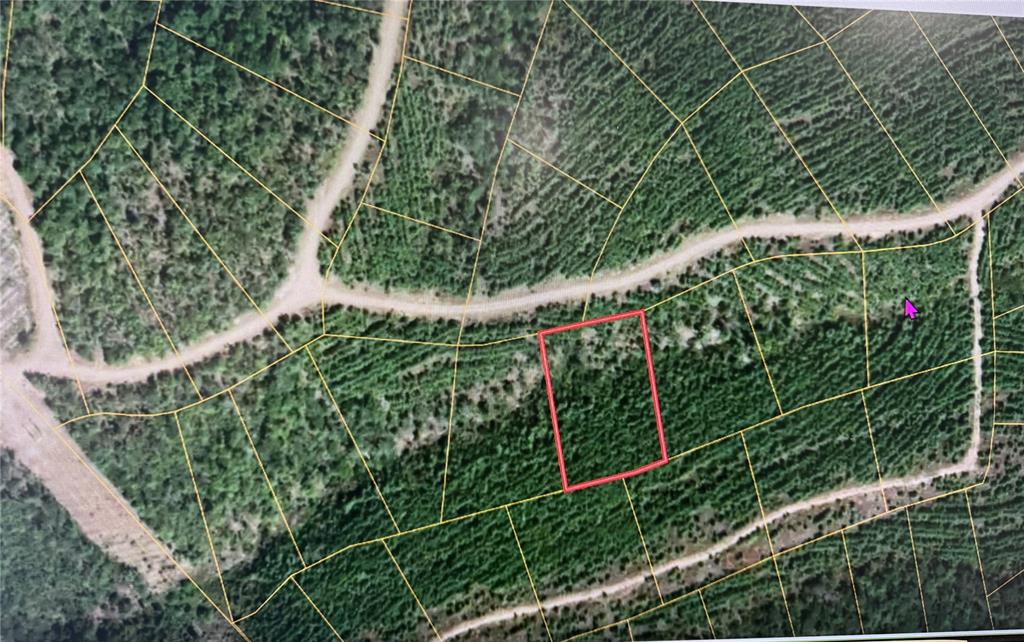 836 Timberline Trail Property Photo 50