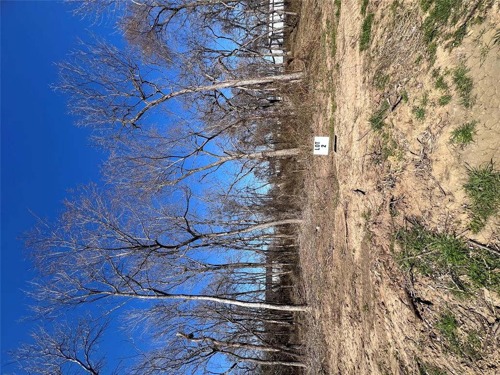 Ne Tortuga Lane Property Photo 6