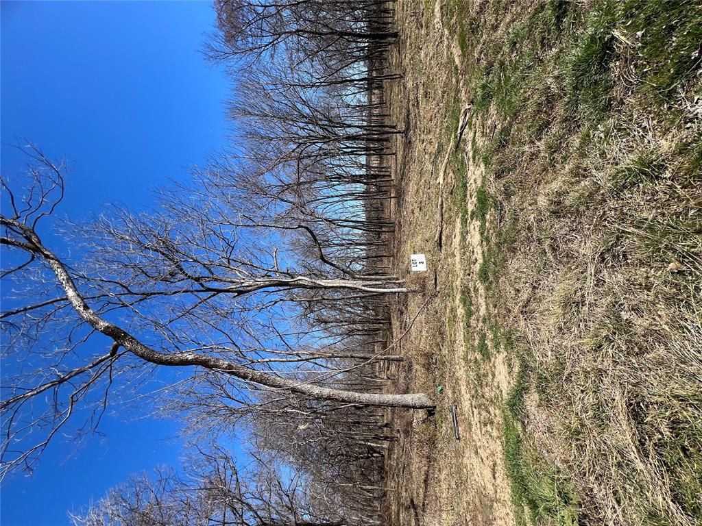 Ne Tortuga Lane Property Photo 9