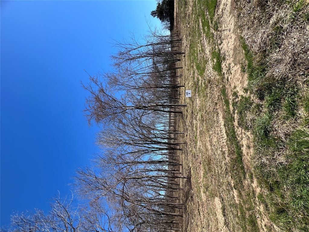 Ne Tortuga Lane Property Photo 11
