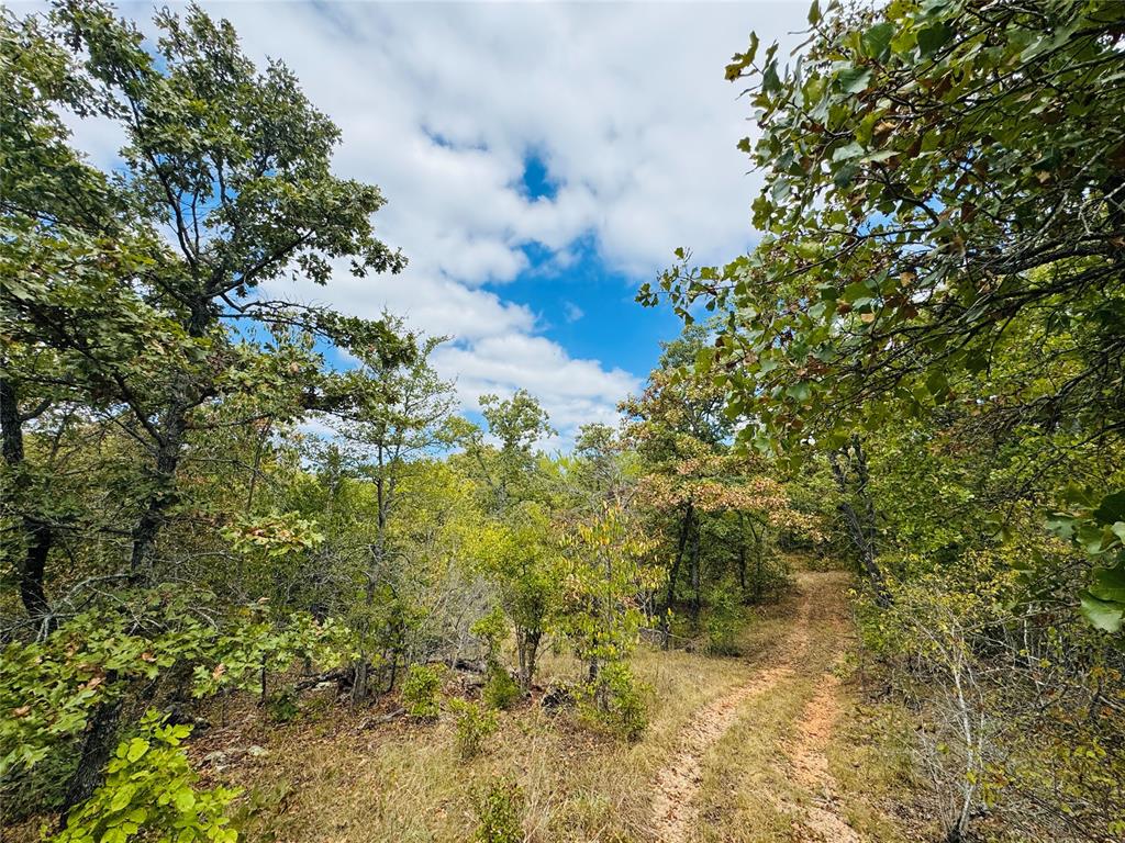 11825 Ns 3650 Road Property Photo 1