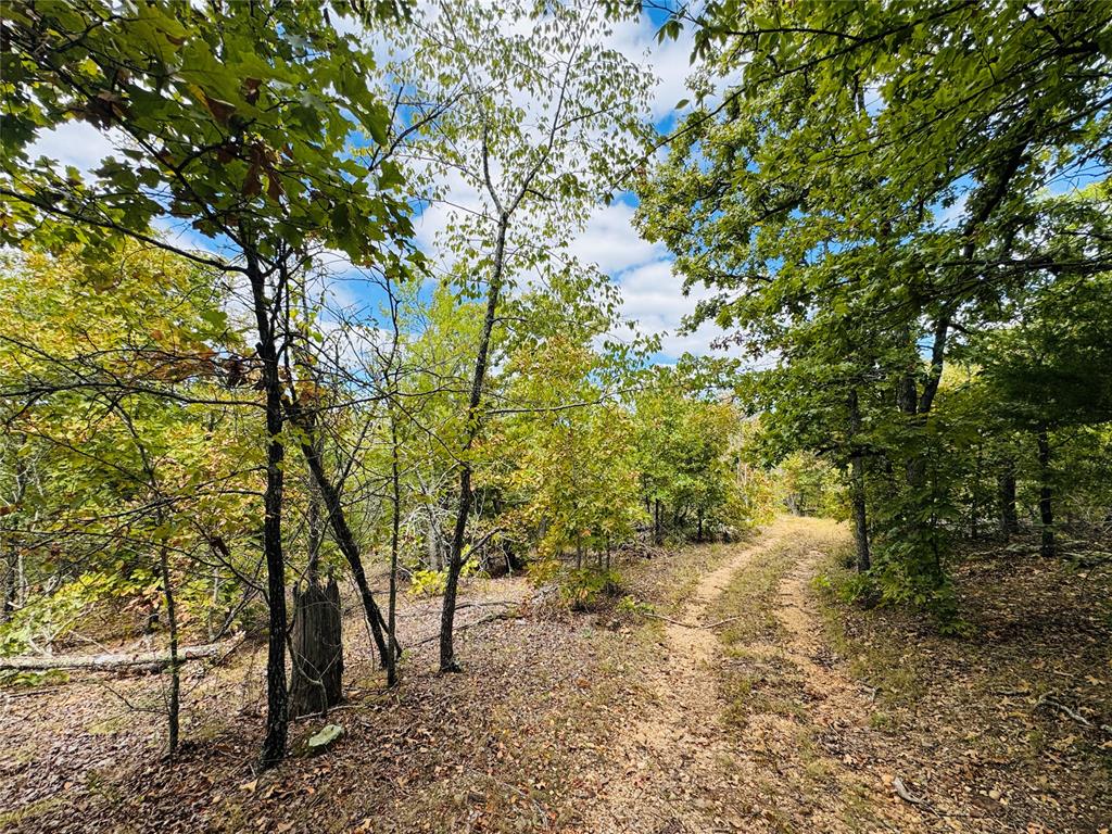 11825 Ns 3650 Road Property Photo 2
