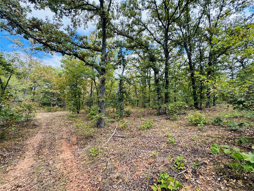 11825 Ns 3650 Road Property Photo 4