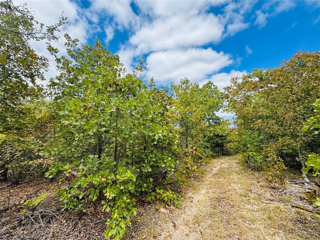 11825 Ns 3650 Road Property Photo 5