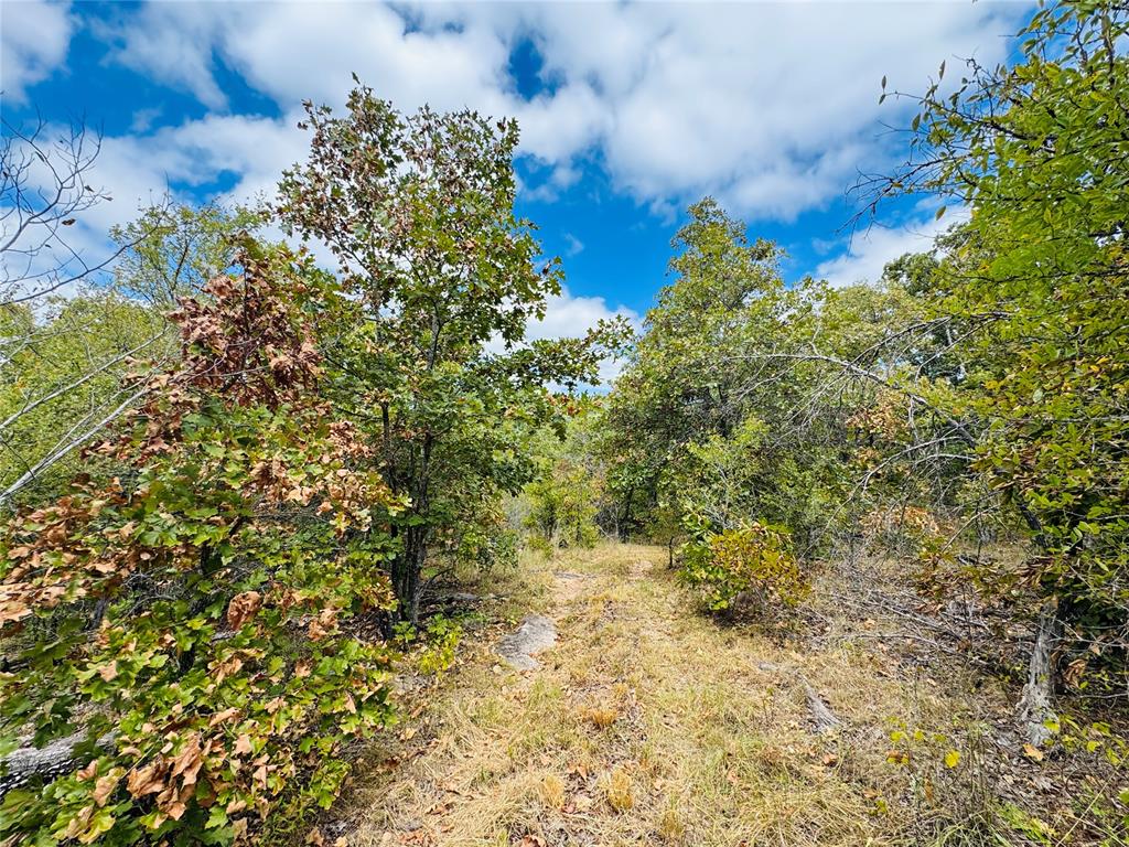11825 Ns 3650 Road Property Photo 6