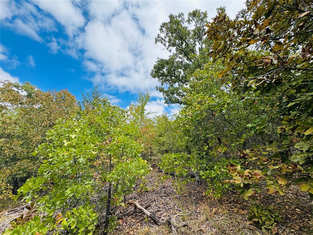 11825 Ns 3650 Road Property Photo 11