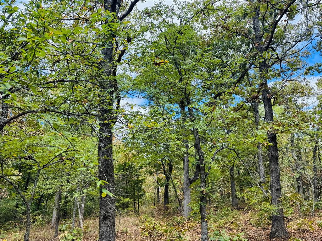 11825 Ns 3650 Road Property Photo 12